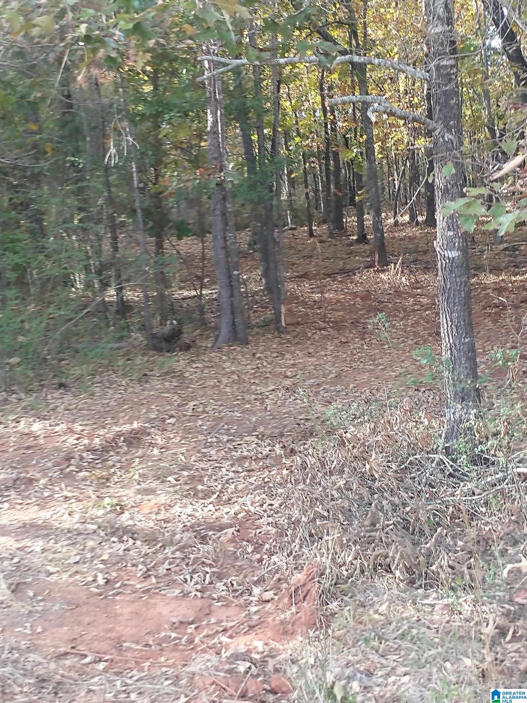 1 Ragans Lane, Unit 51 Talladega, AL 35160 - Photo 5 of 11