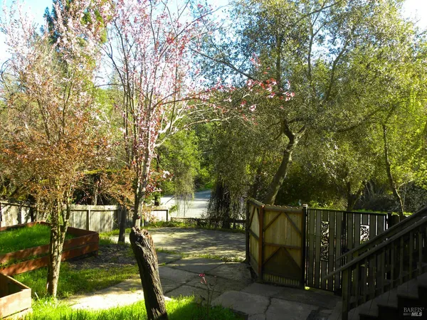 a view of a park with large trees