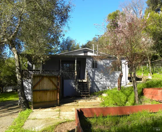 a view of backyard with potted plants and a large tree