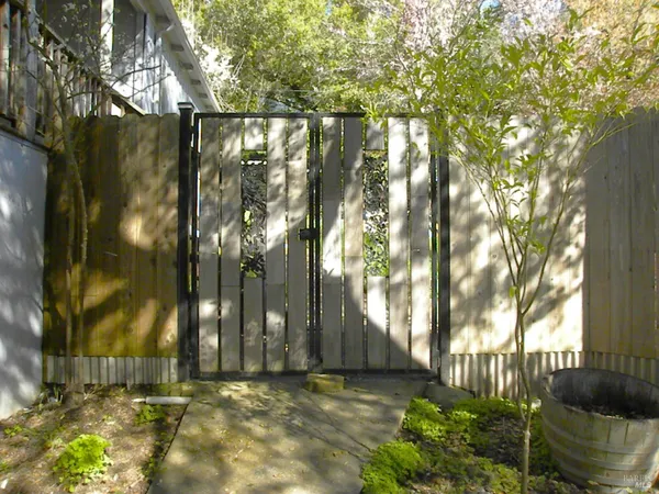 a view of a yard with large trees