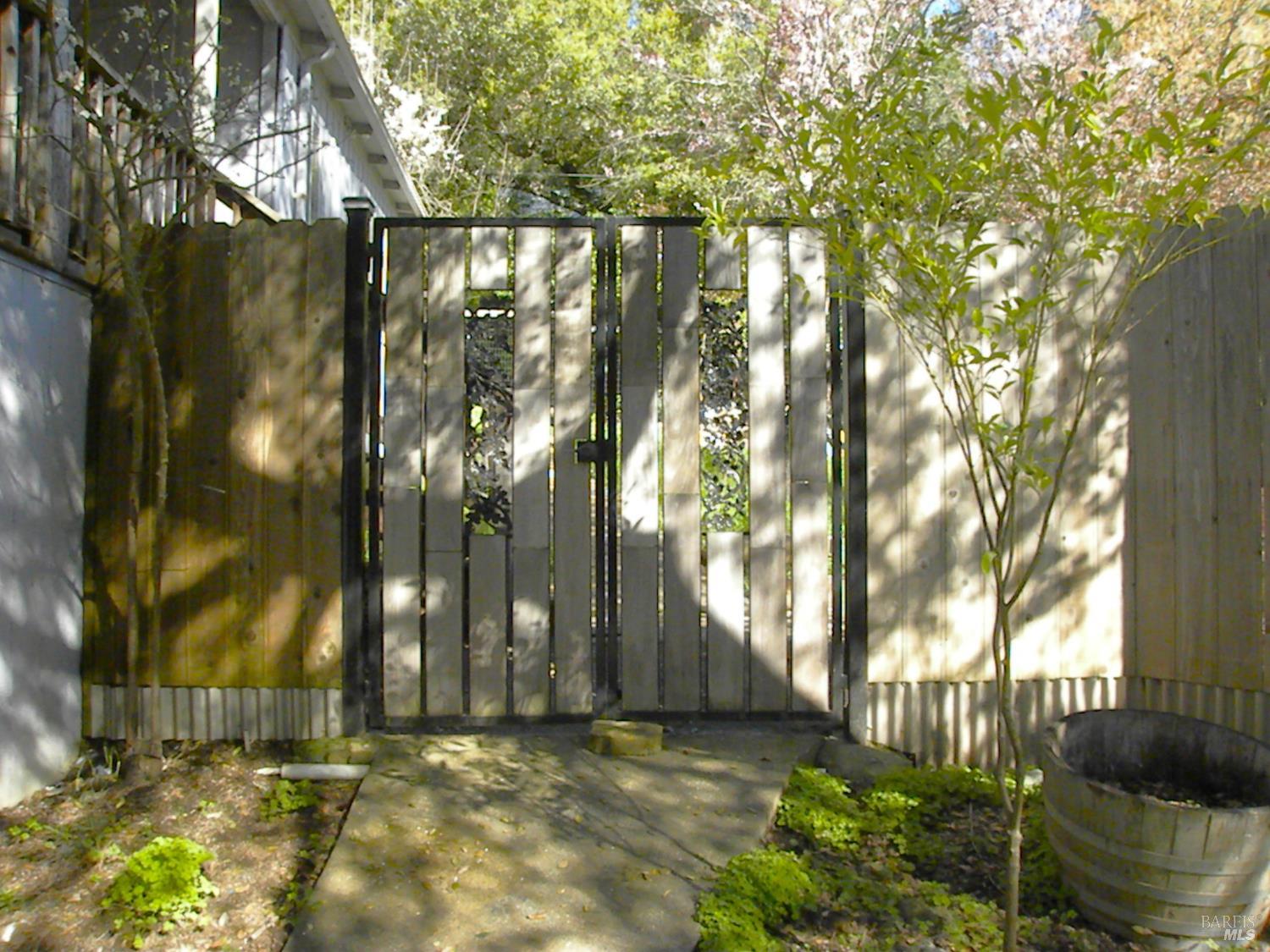 8260 Trenton Road Forestville, CA 95436 - Photo 4 of 24 a view of a yard with large trees