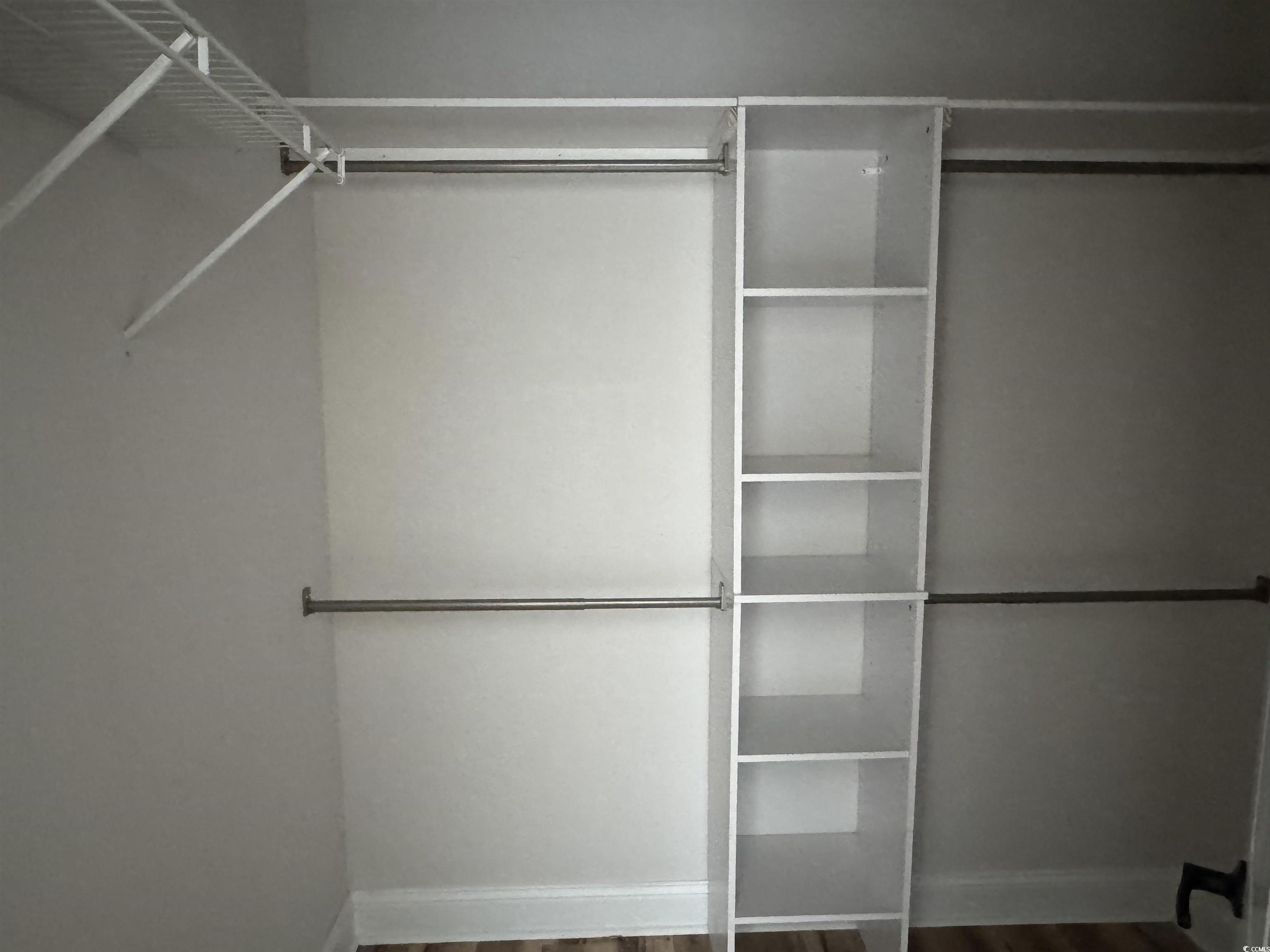 1351 White Oak Lane Galivants Ferry, SC 29544 - Photo 11 of 12 Walk in closet featuring dark wood-style flooring