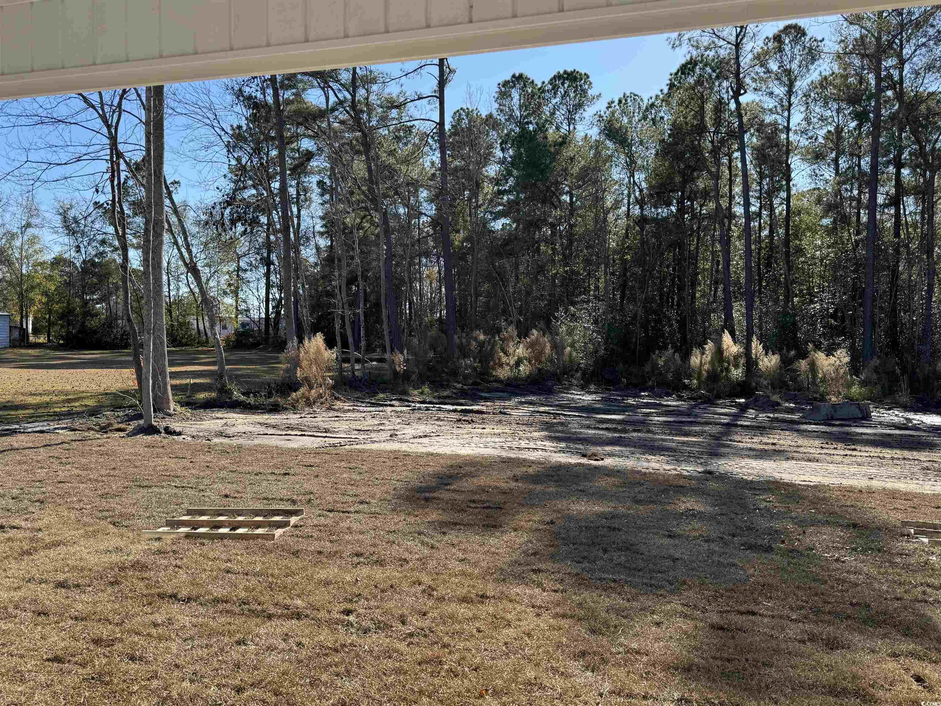 1351 White Oak Lane Galivants Ferry, SC 29544 - Photo 12 of 12 View of grassy yard
