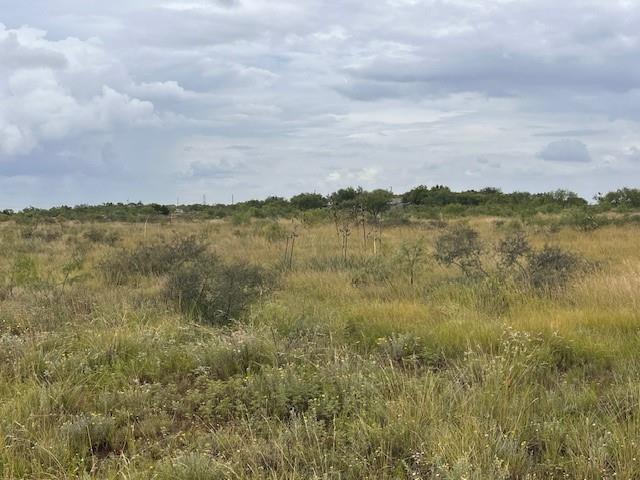 405 County Road 405 Merkel, TX 79536 - Photo 12 of 13