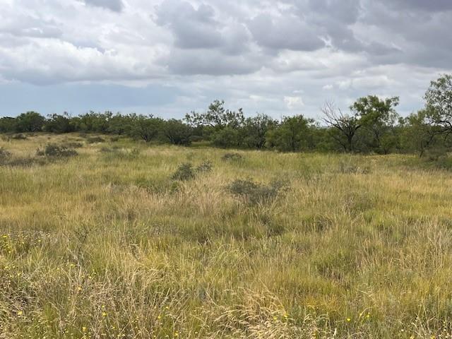 405 County Road 405 Merkel, TX 79536 - Photo 13 of 13