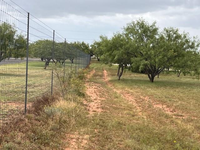 405 County Road 405 Merkel, TX 79536 - Photo 8 of 19 deeded access lane