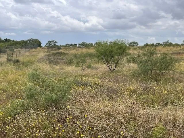 $120,900 | 405 County Road 405, Merkel, TX 79536