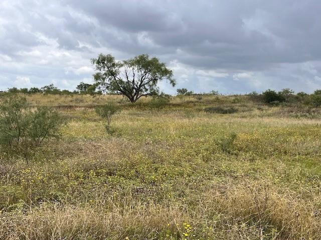 405 County Road 405 Merkel, TX 79536 - Photo 10 of 13