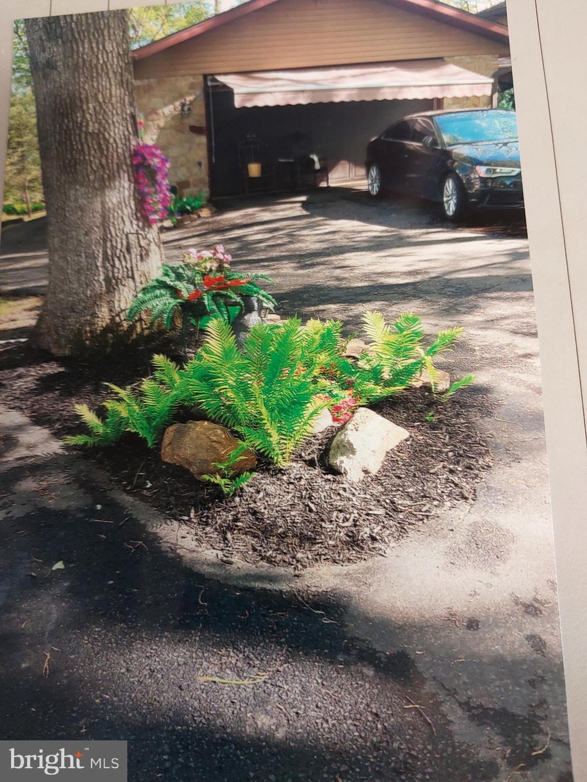 3725 Oakland Road Bethlehem, PA 18020 - Photo 19 of 52 a view of back yard of the house