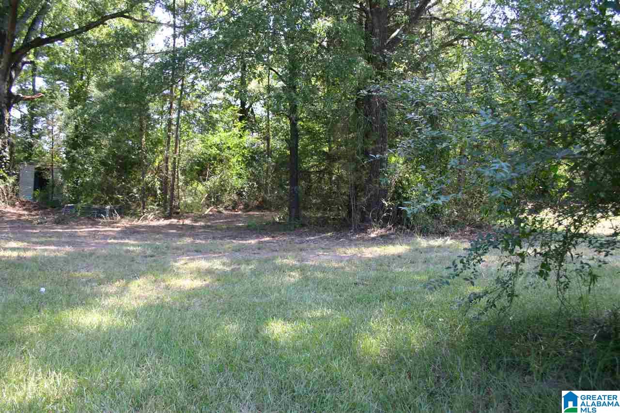 Gallman Lane Talladega, AL 35160 - Photo 18 of 19