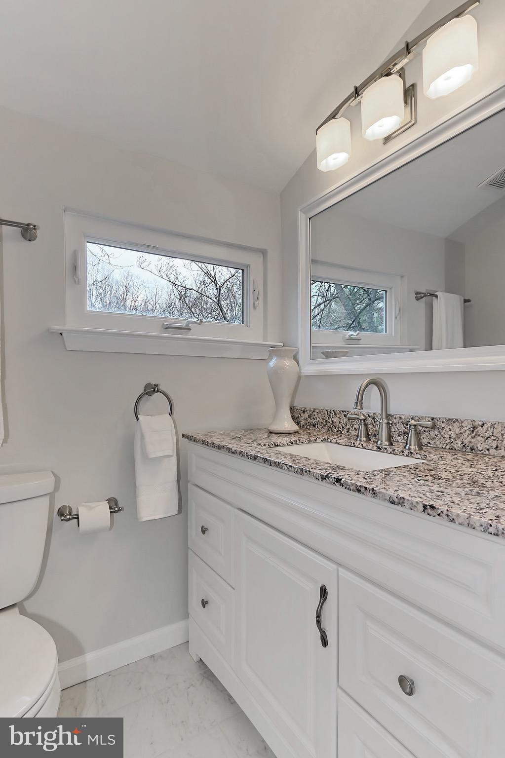 2380 Generation Drive Reston, VA 20191 - Photo 16 of 30 a bathroom with a toilet sink and mirror