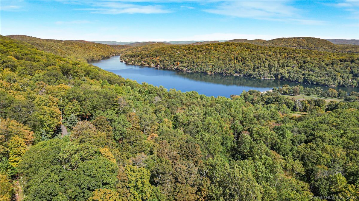 153 Short Woods Road New Fairfield, CT 06812 - Photo 17 of 38 a view of a lush green forest with mountains in the background