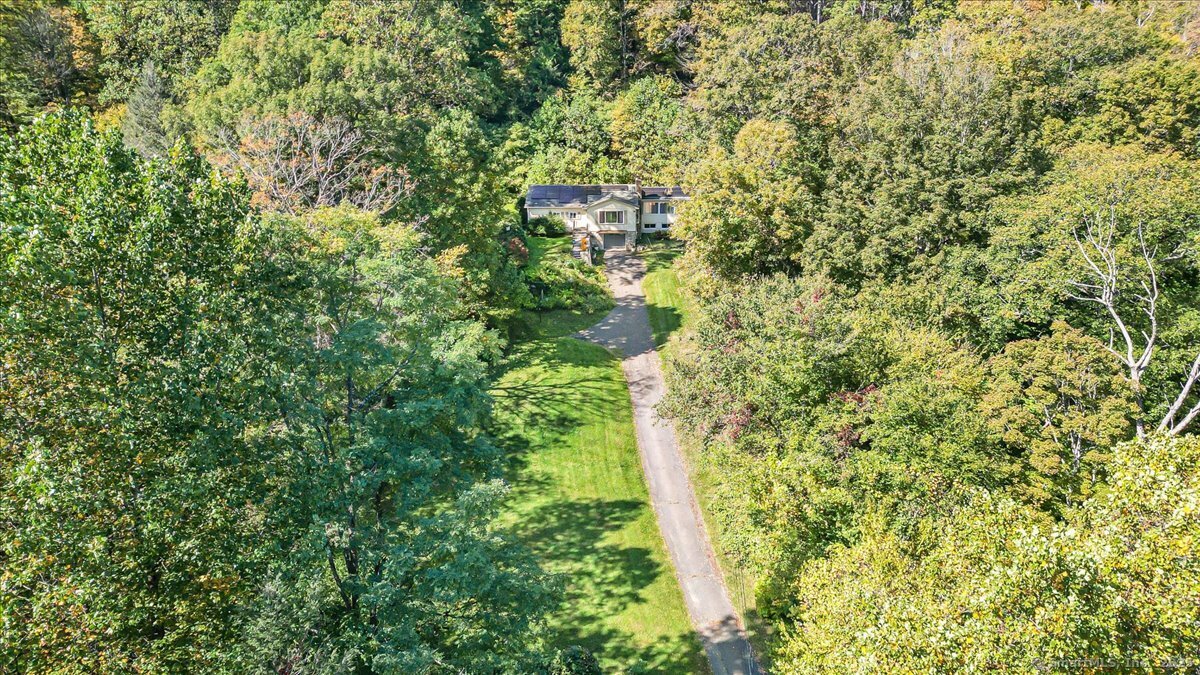 153 Short Woods Road New Fairfield, CT 06812 - Photo 24 of 38 a plant that is in front of a building