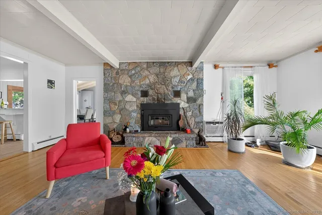 a living room with furniture potted plant floor and a fireplace