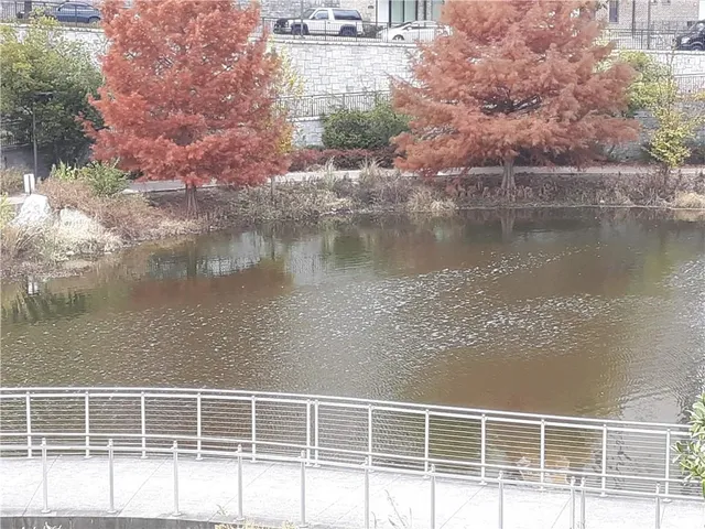 a view of a lake with a city
