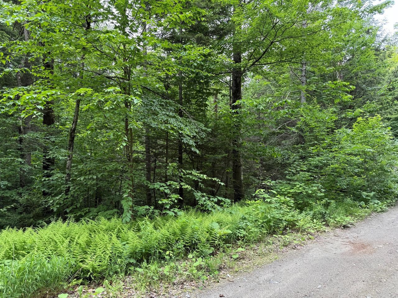 219 Woodbury Mountain Road Calais, VT 05648 - Photo 1 of 2