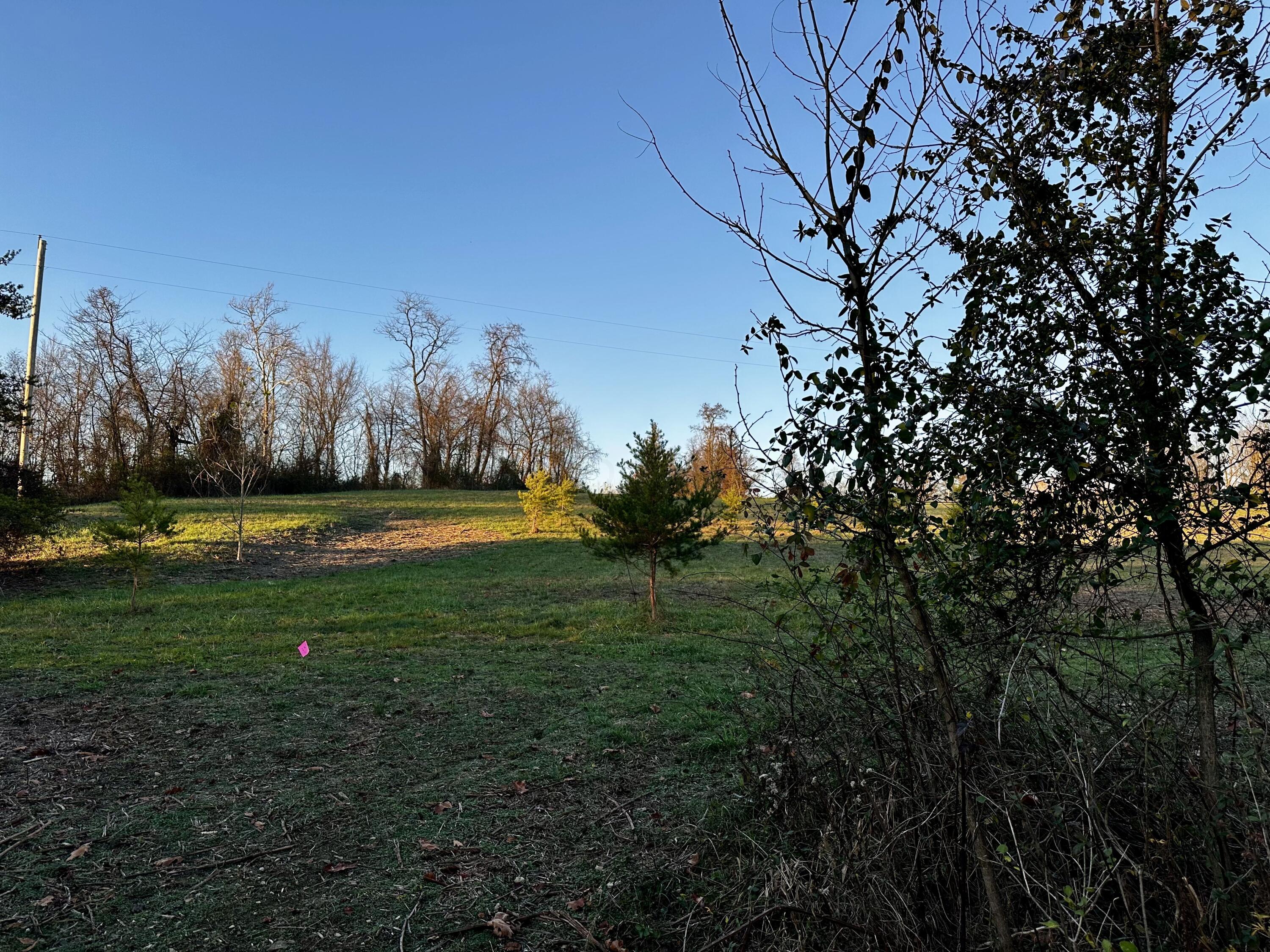 7374 Dutch Ridge Road, Unit TRACT 2 AT DUTCH RIDGE) New Straitsville, OH 43766 - Photo 22 of 31 20241111_214654540_iOS