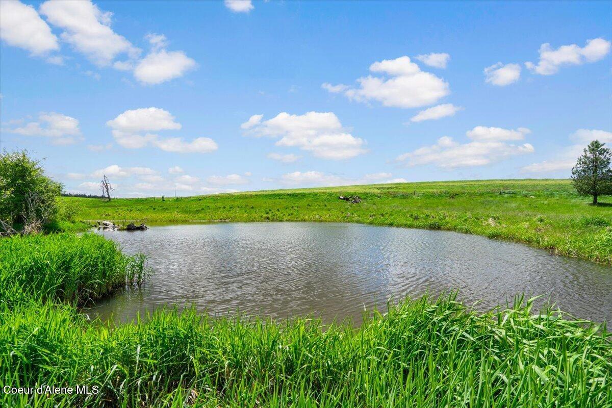 572 Foote Road Desmet, ID 83824 - Photo 13 of 38 2 year rd lg ponds