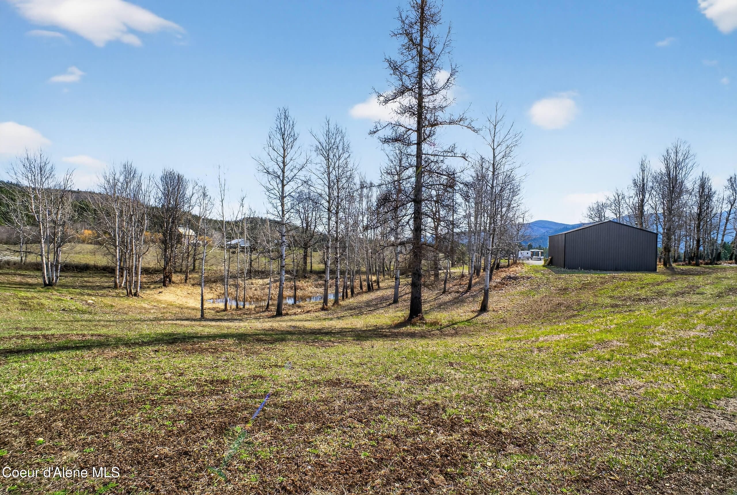 1297 Eastside Road Priest River, ID 83856 - Photo 12 of 47 DSC00494