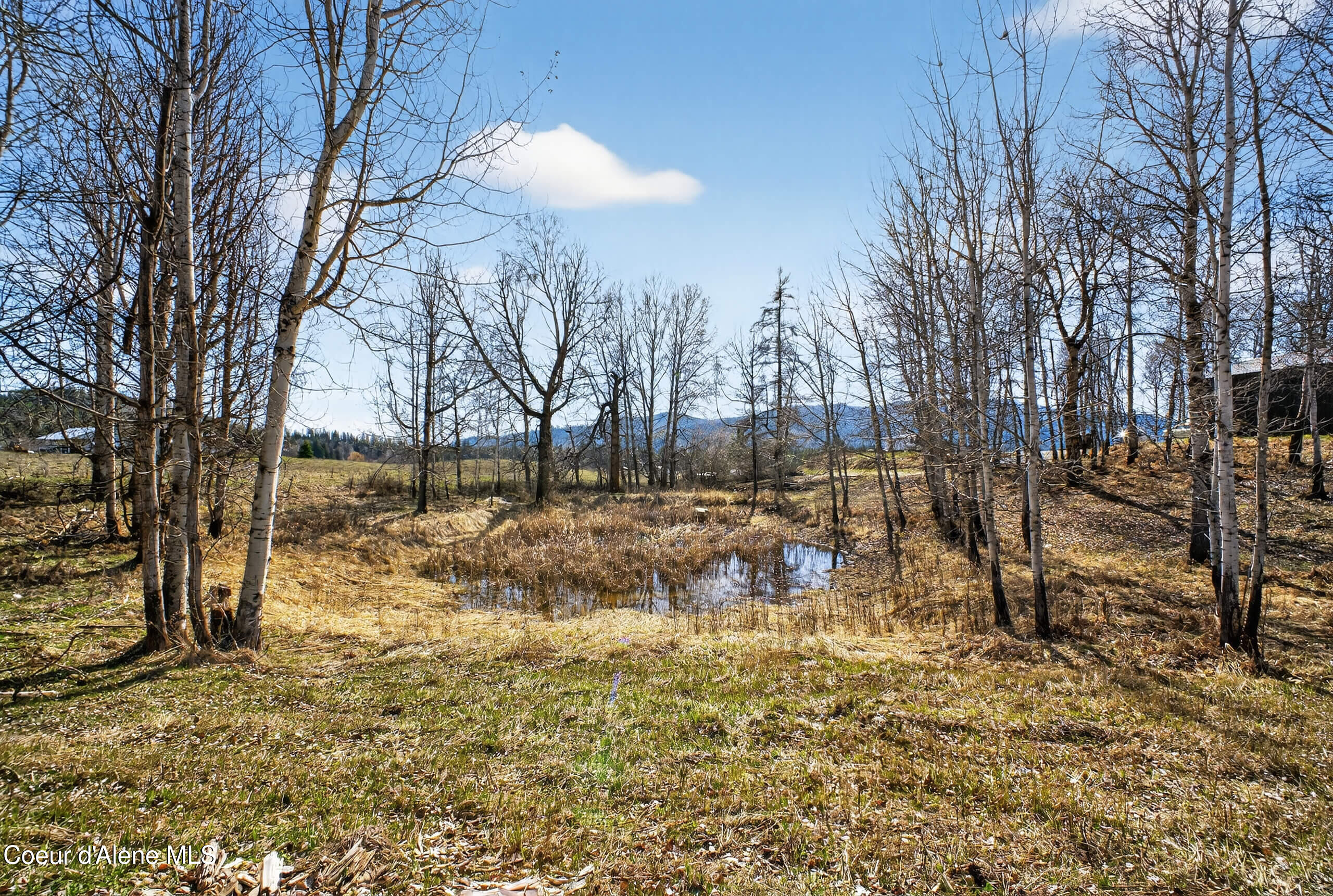 1297 Eastside Road Priest River, ID 83856 - Photo 14 of 47 DSC00479