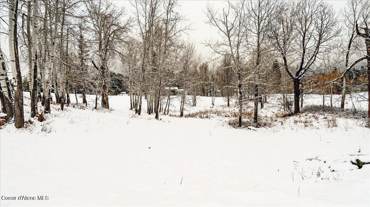 1297 Eastside Road Priest River, ID 83856 - Photo 67 of 72 Property View