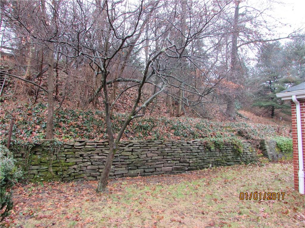 204 Washington Road Forest Hills, PA 15221 - Photo 22 of 23 BACK YARD....