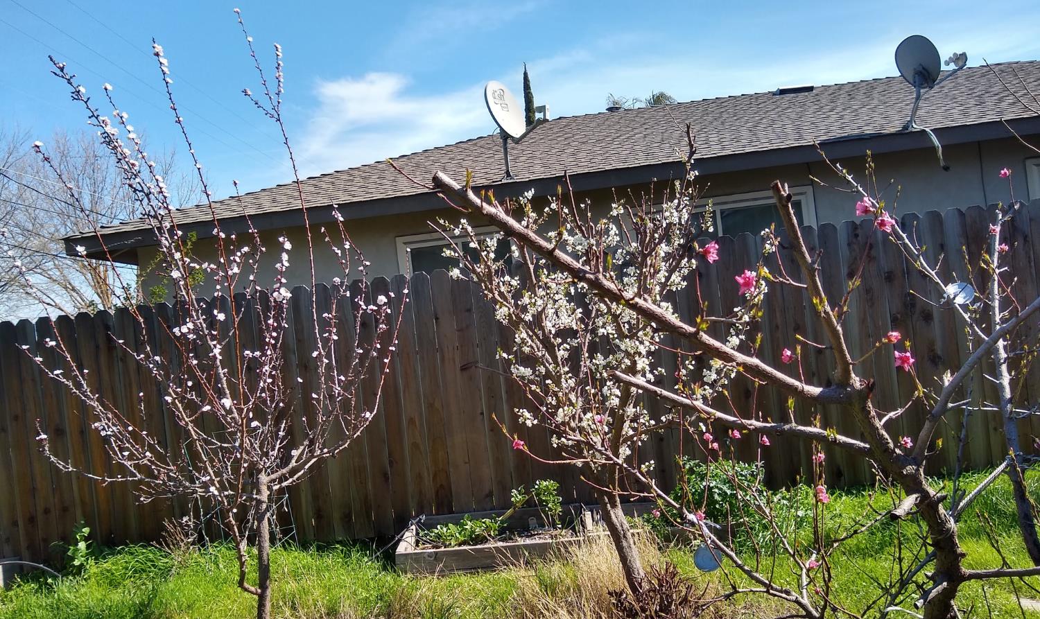 2005 East Marshall Street Turlock, CA 95380 - Photo 21 of 25