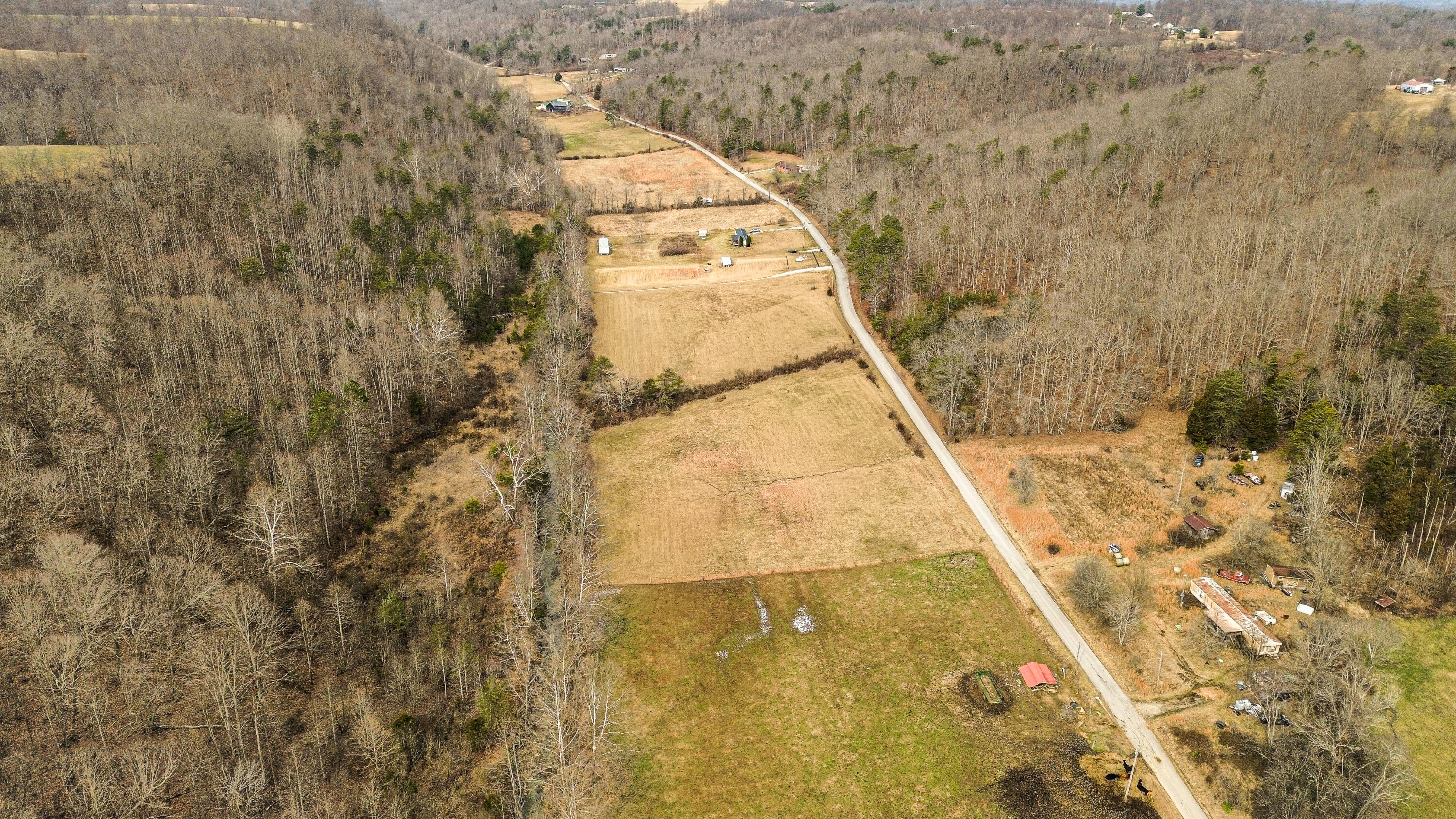 999 Tar Kiln Road Brodhead, KY 40409 - Photo 25 of 35 dji_fly_20260224_113056_596_177204968681