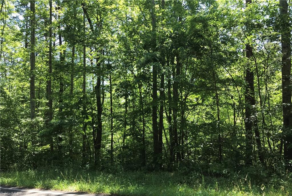 3 King Road, Unit PELL Pinnacle, NC 27043 - Photo 2 of 3 Gallery Image 2