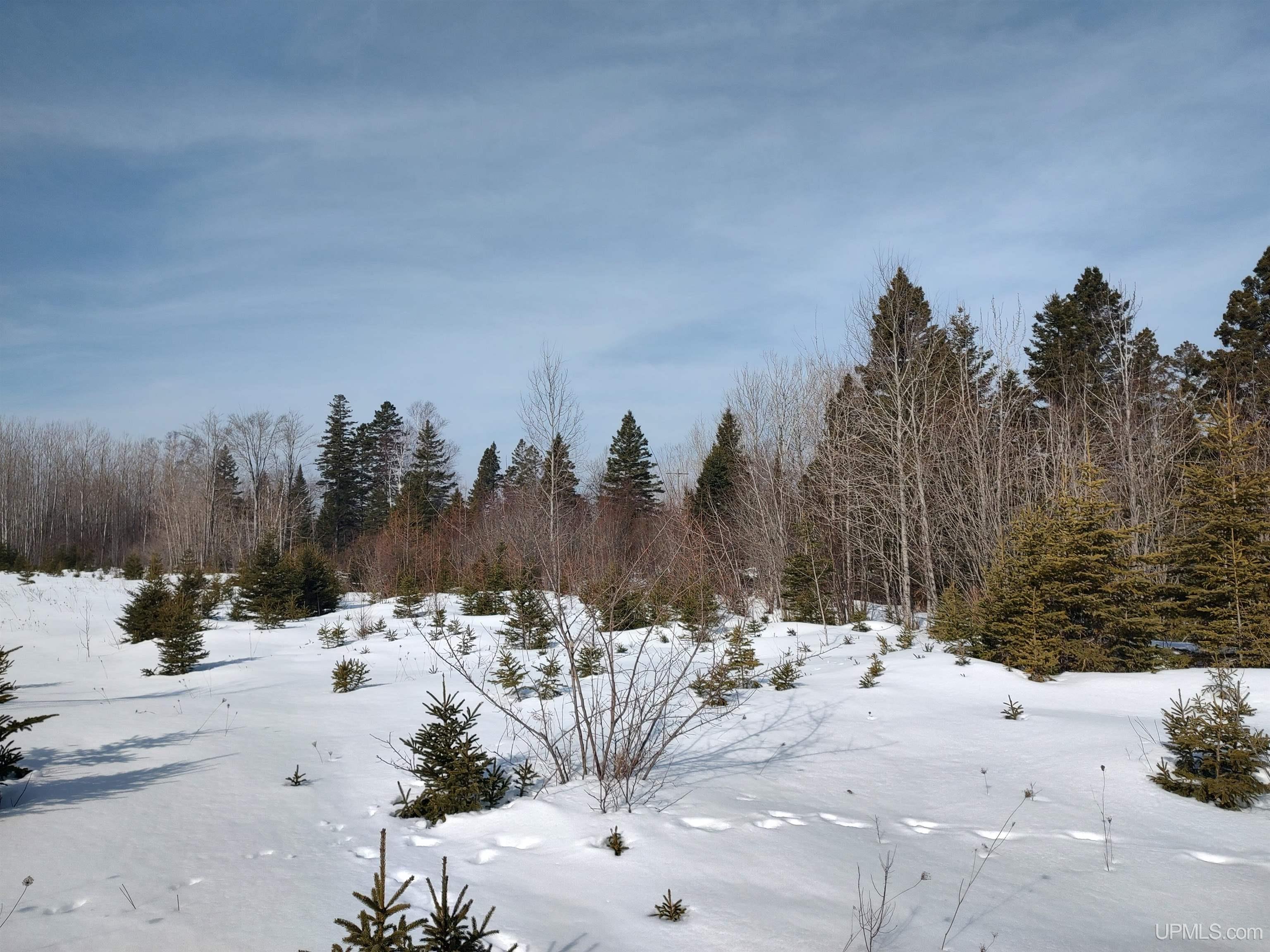 30-acres Parkington Road Gulliver, MI 49840 - Photo 13 of 31