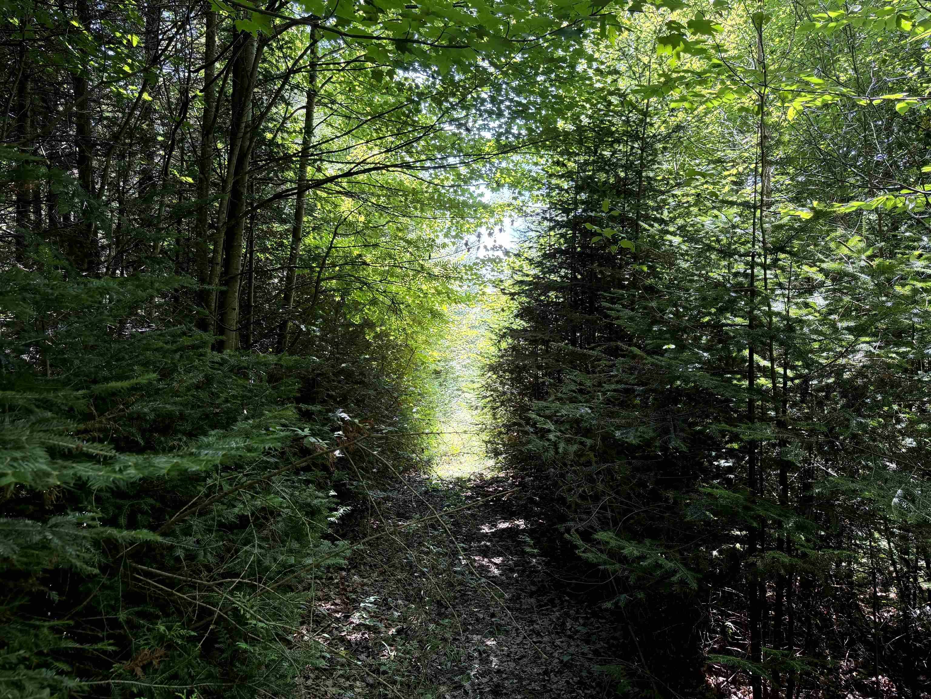 3329 Bates Hill Road Derby, VT 05829 - Photo 25 of 41 Gallery Image 25