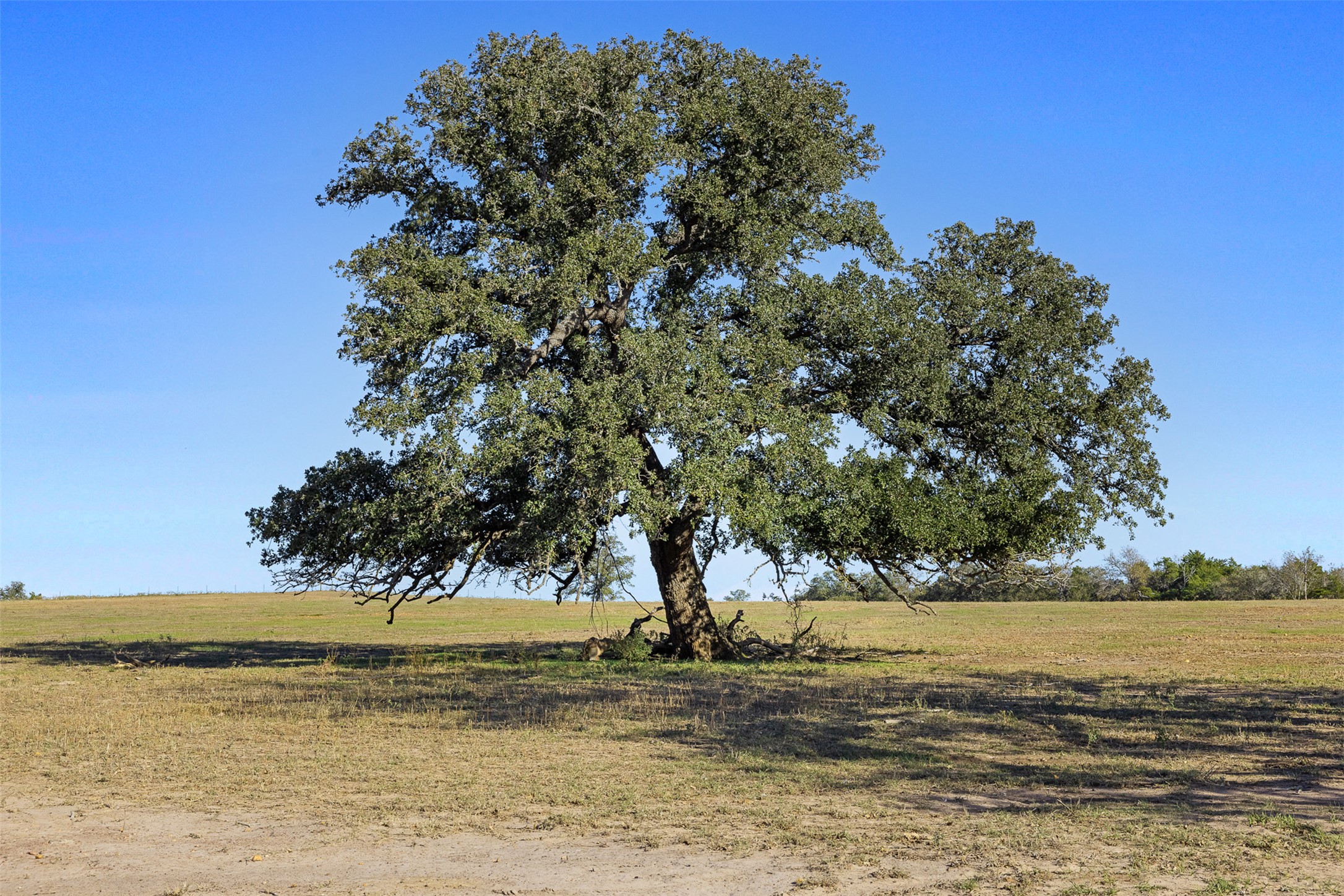 0 Stockade Ranch Road Paige, TX 78659 - Photo 2 of 37 View of nature featuring rural landscape