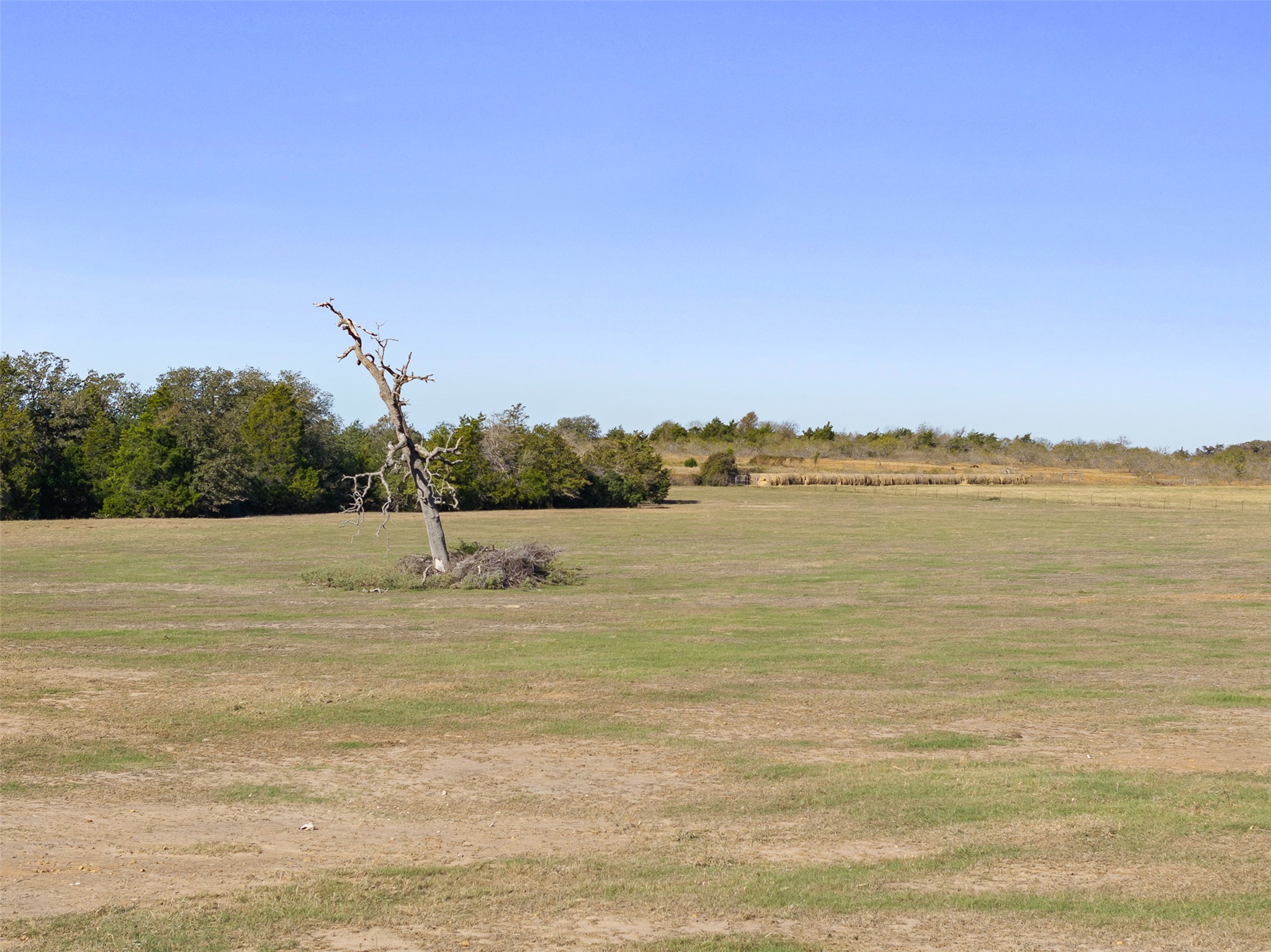 0 Stockade Ranch Road Paige, TX 78659 - Photo 23 of 37 View of green lawn featuring a view of countryside