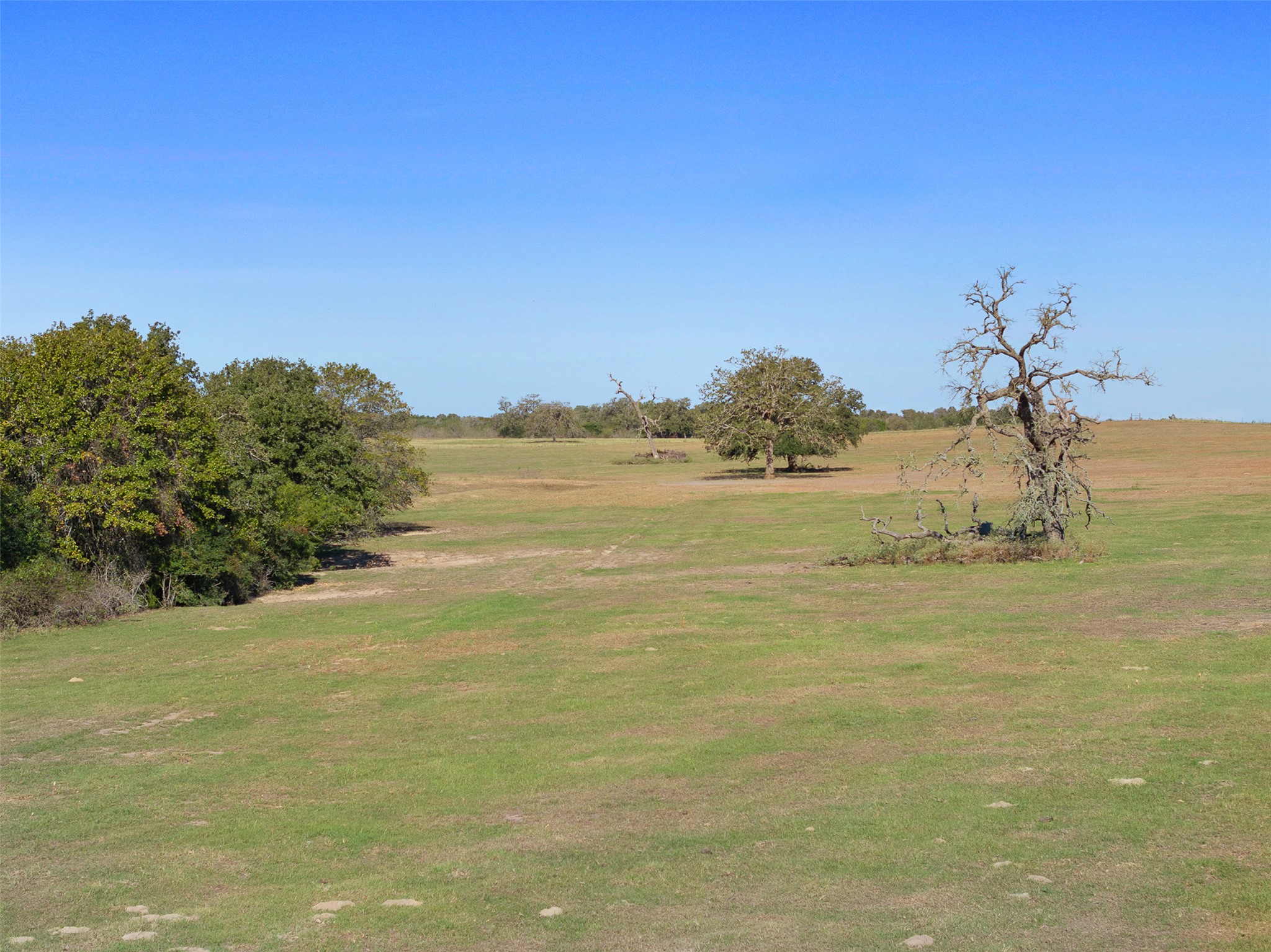 0 Stockade Ranch Road Paige, TX 78659 - Photo 25 of 37 View of grassy yard featuring a rural view