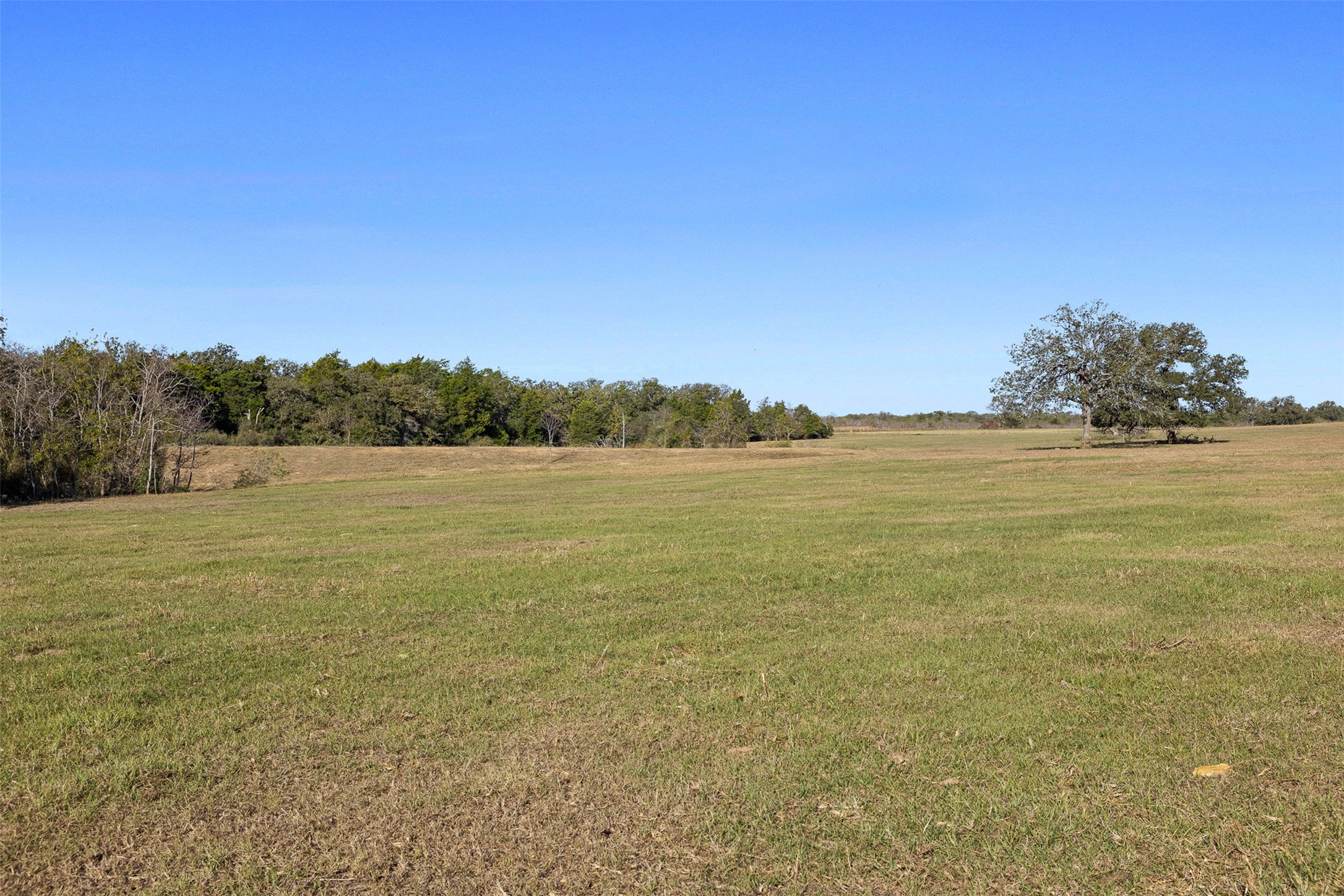 0 Stockade Ranch Road Paige, TX 78659 - Photo 10 of 37 View of grassy yard with a view of rural / pastoral area