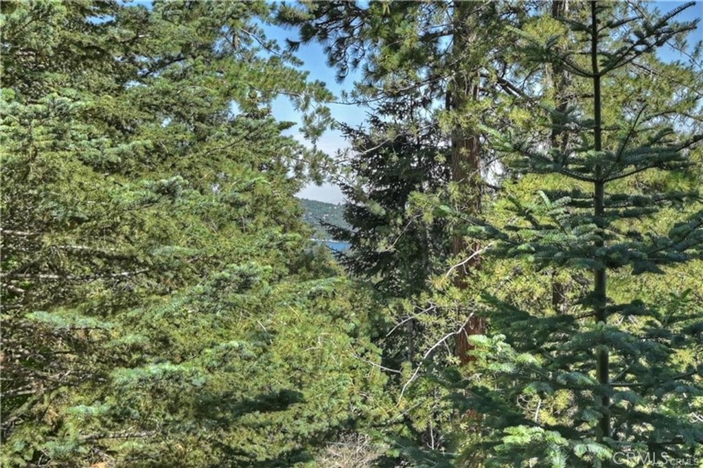 28393 Larchmont Lane Lake Arrowhead, CA 92352 - Photo 2 of 25 a view of a lush green forest
