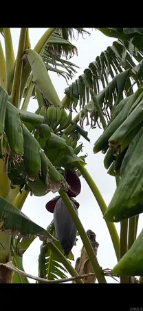 $1,075,000 | 2073 Willow Glen Road, Fallbrook, CA 92028