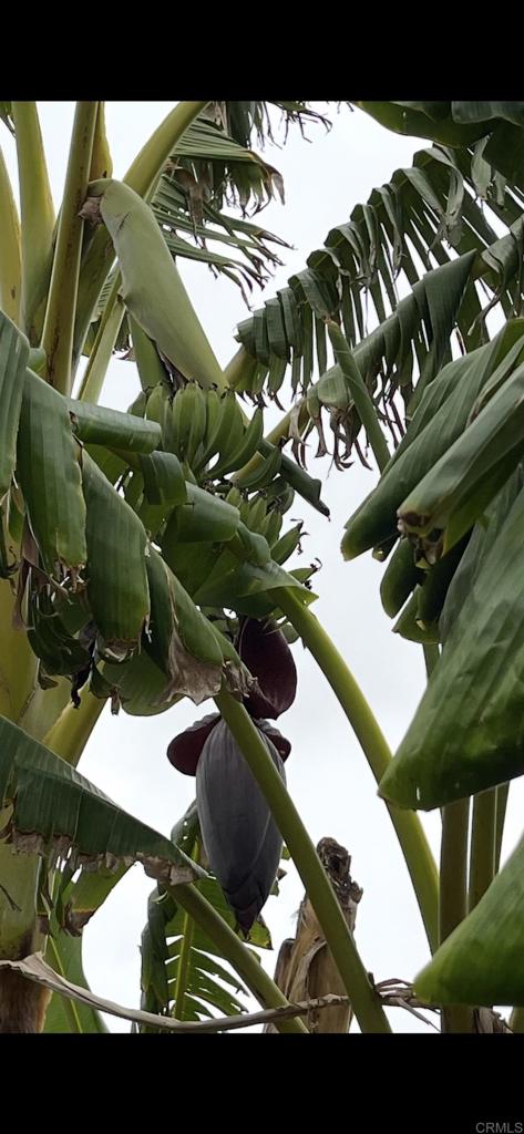 2073 Willow Glen Road Fallbrook, CA 92028 - Photo 33 of 33