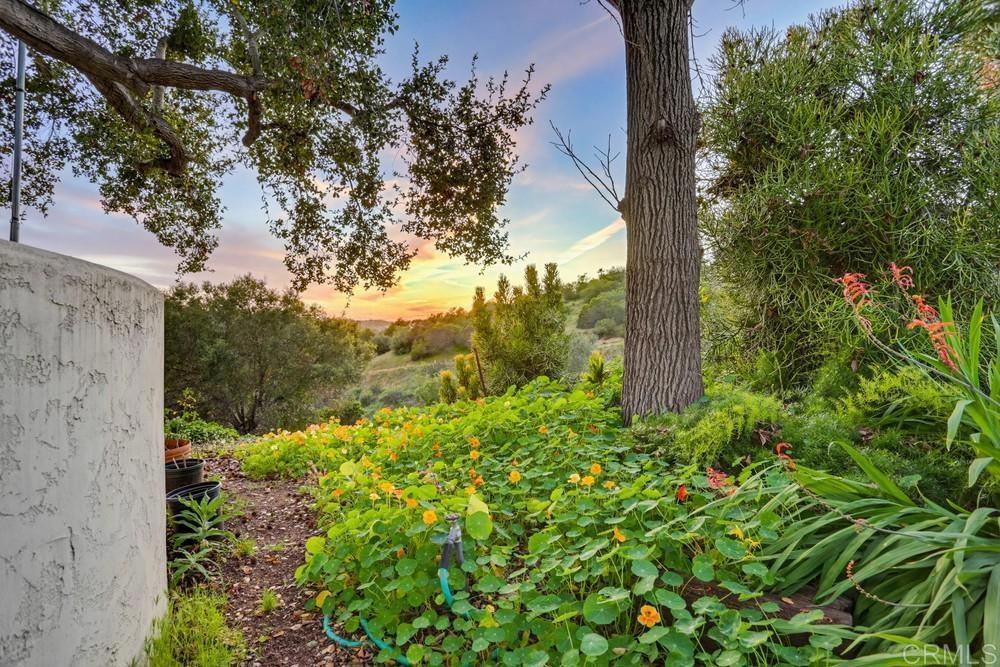 2073 Willow Glen Road Fallbrook, CA 92028 - Photo 9 of 33