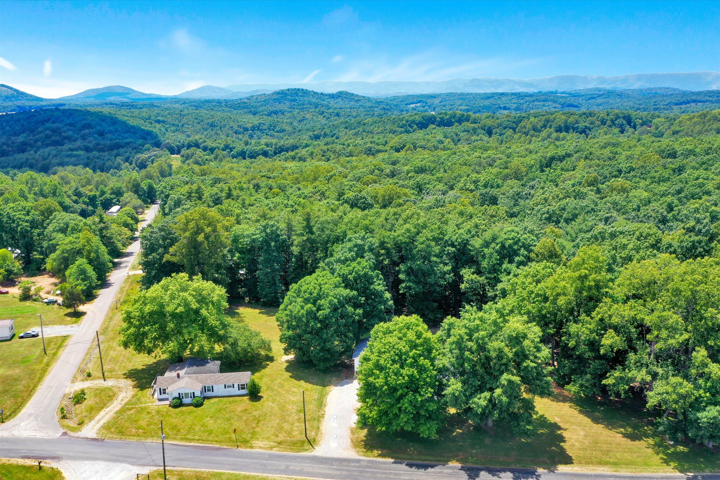 5232 Old Forge Road Rocky Mount, VA 24151 - Photo 37 of 41 a view of a lush green forest with lots of trees