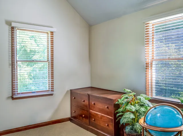 a room with a bed and a potted plant