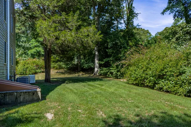 a view of a backyard with large trees