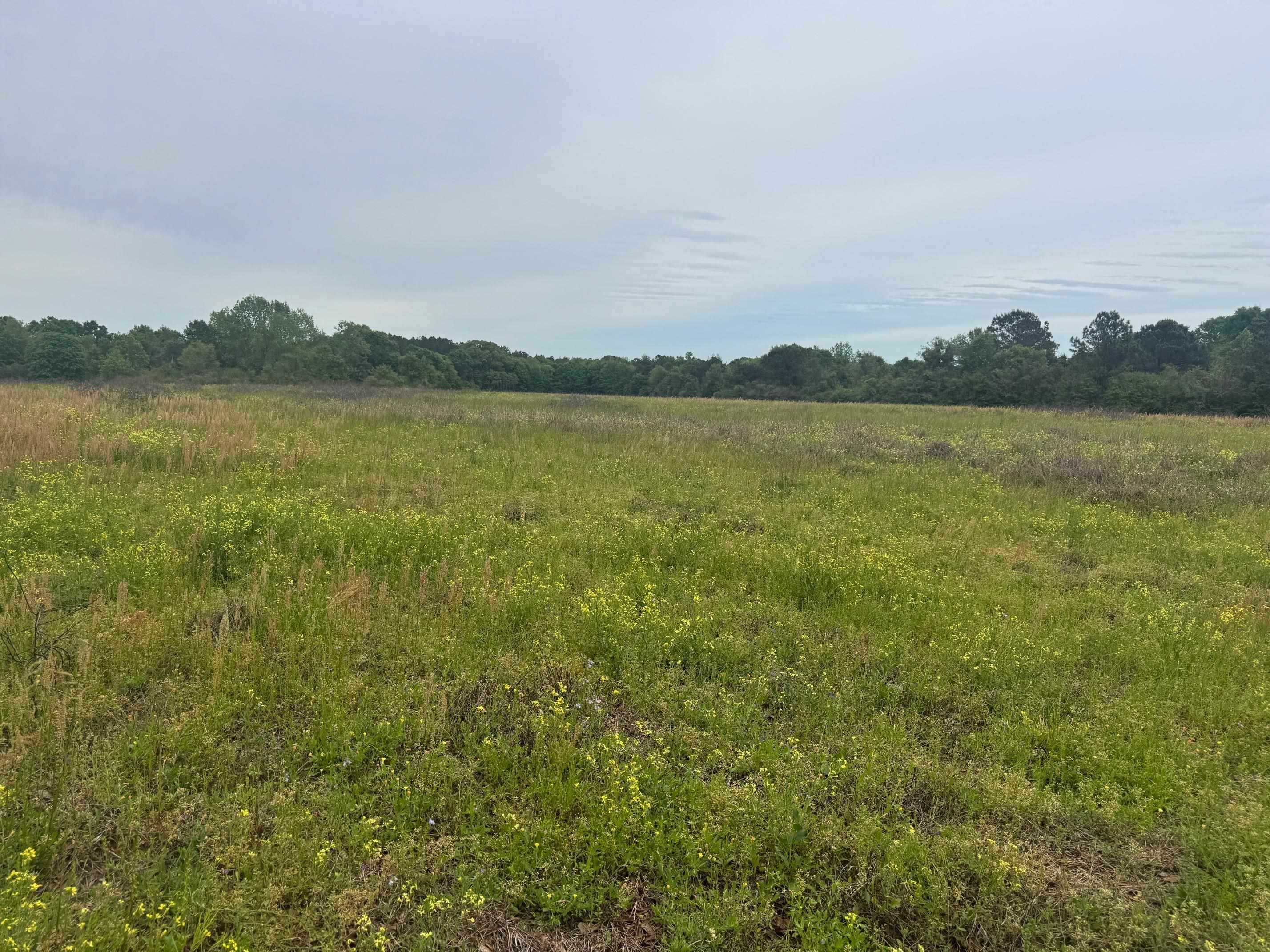 0 Co Road Andalusia, AL 36420 - Photo 22 of 34 Gallery Image 22