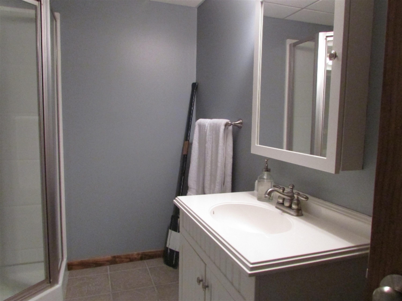 833 Shawnee Beach Road Bronson, MI 49028 - Photo 24 of 43