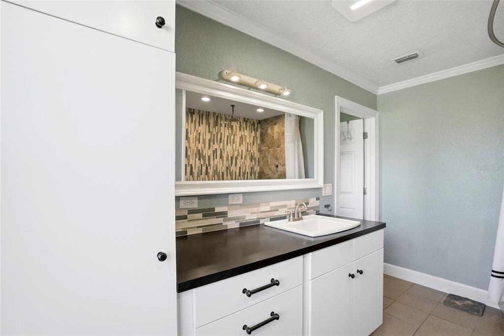 123 South Wiggins Road Plant City, FL 33566 - Photo 18 of 55 a bathroom with a sink and a mirror