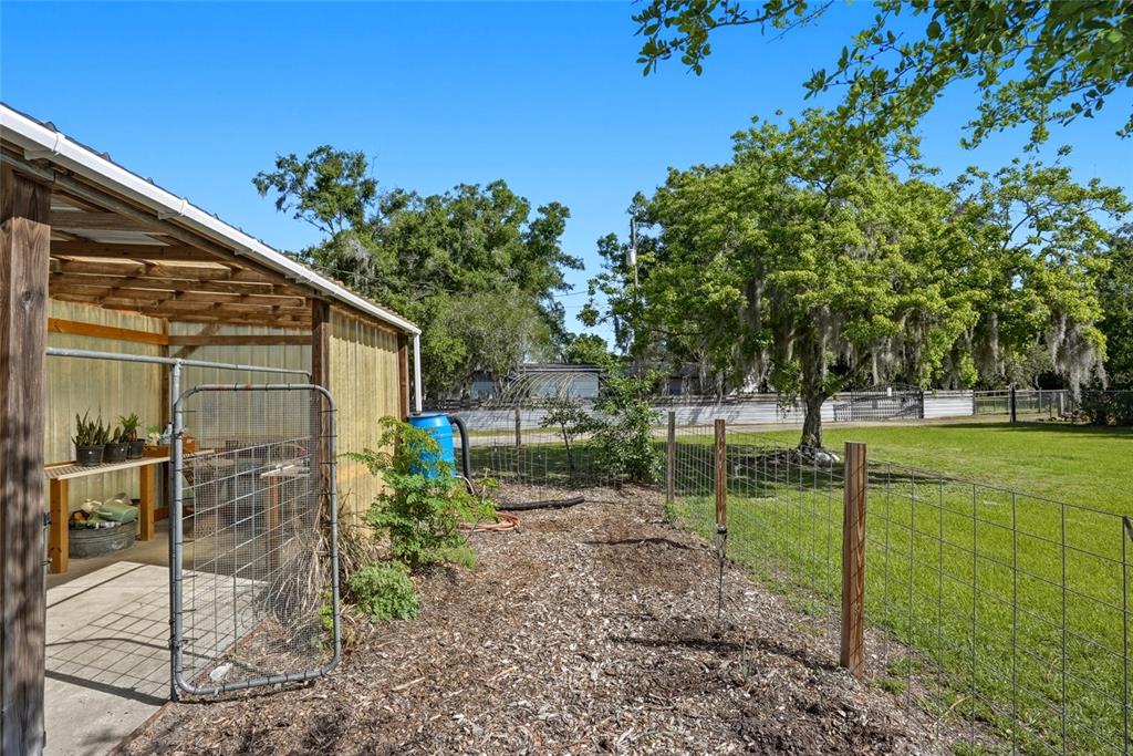 123 South Wiggins Road Plant City, FL 33566 - Photo 44 of 55 a backyard of a house with lots of green space