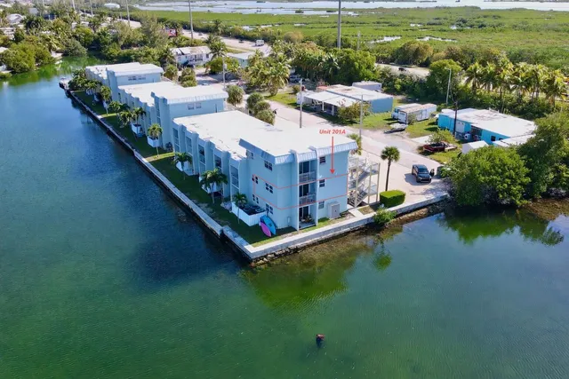 an aerial view of residential houses with outdoor space and lake view