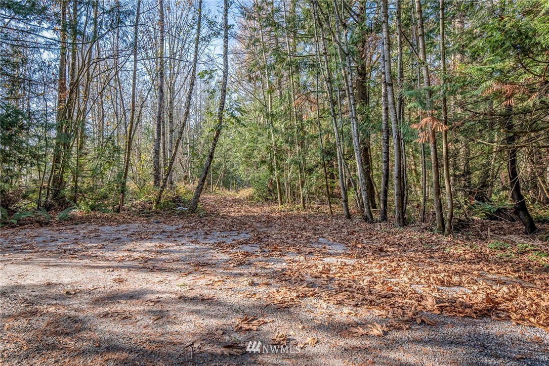5931 Noon Road Bellingham, WA 98226 - Photo 11 of 14