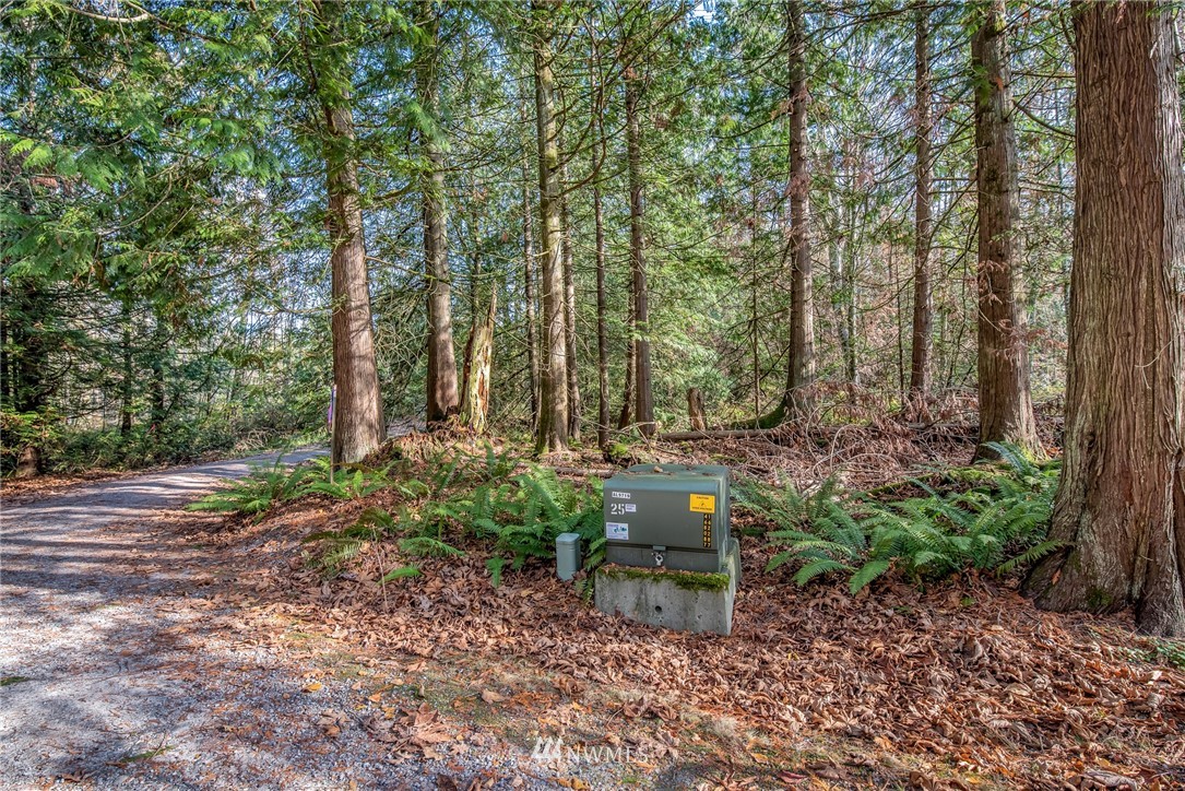 5931 Noon Road Bellingham, WA 98226 - Photo 3 of 14