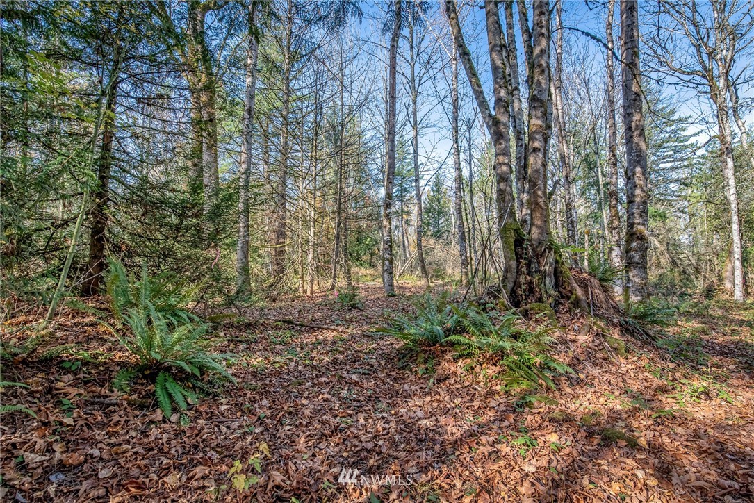 5931 Noon Road Bellingham, WA 98226 - Photo 7 of 14